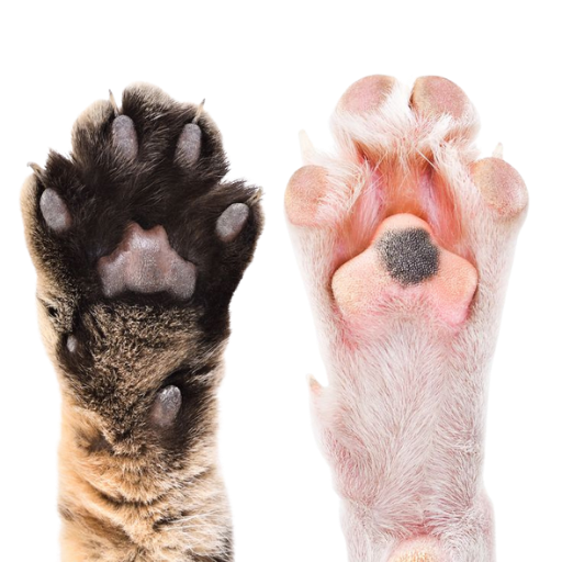 SmartVet Hero Paw
